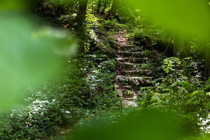 Steintreppe im Wald